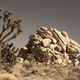 Illustration for article titled The Best Thing About the Desert Is That It's Clueless